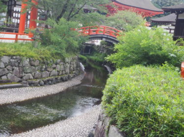 糺の森・下鴨神社