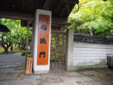 Japanese garden at 「SHOZAN」