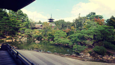 美しい庭園がある御殿は必見！世界文化遺産 仁和寺✨