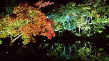 高台寺ライトアップ　2020年秋ð