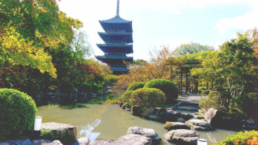 フォトギャラリ―　～ 東寺 ～