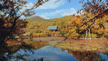 フォトギャラリ―　～ 龍安寺 ～