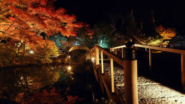 秋の特別夜間拝観　金戒光明寺