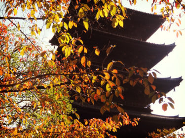 世界遺産巡り　東寺