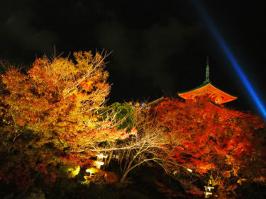 2020年　秋のライトアップ　清水寺