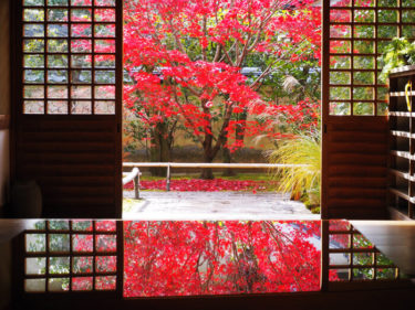 紅葉のリフレクション　大徳寺・興臨院