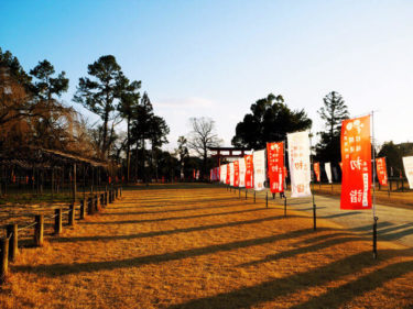 初詣　上賀茂神社